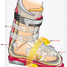 illustration of Digital, Line with Color, Realism, Technical, Corporate, Editorial, Information Graphics, Medical, Product, Sports