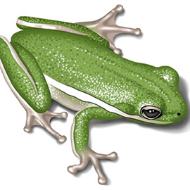 illustration of Airbrush, Digital, Realism, Technical, Editorial, Nature, Posters, Science, Scientific, Toys & Games