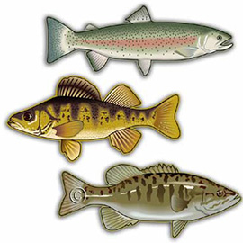 Kopp Illustration, Inc.