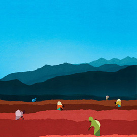 Nick Purser