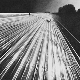 Roger Watt