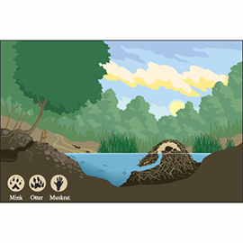 illustration of Digital, Line with Color, Technical, Animals, Education, Information Graphics, Nature