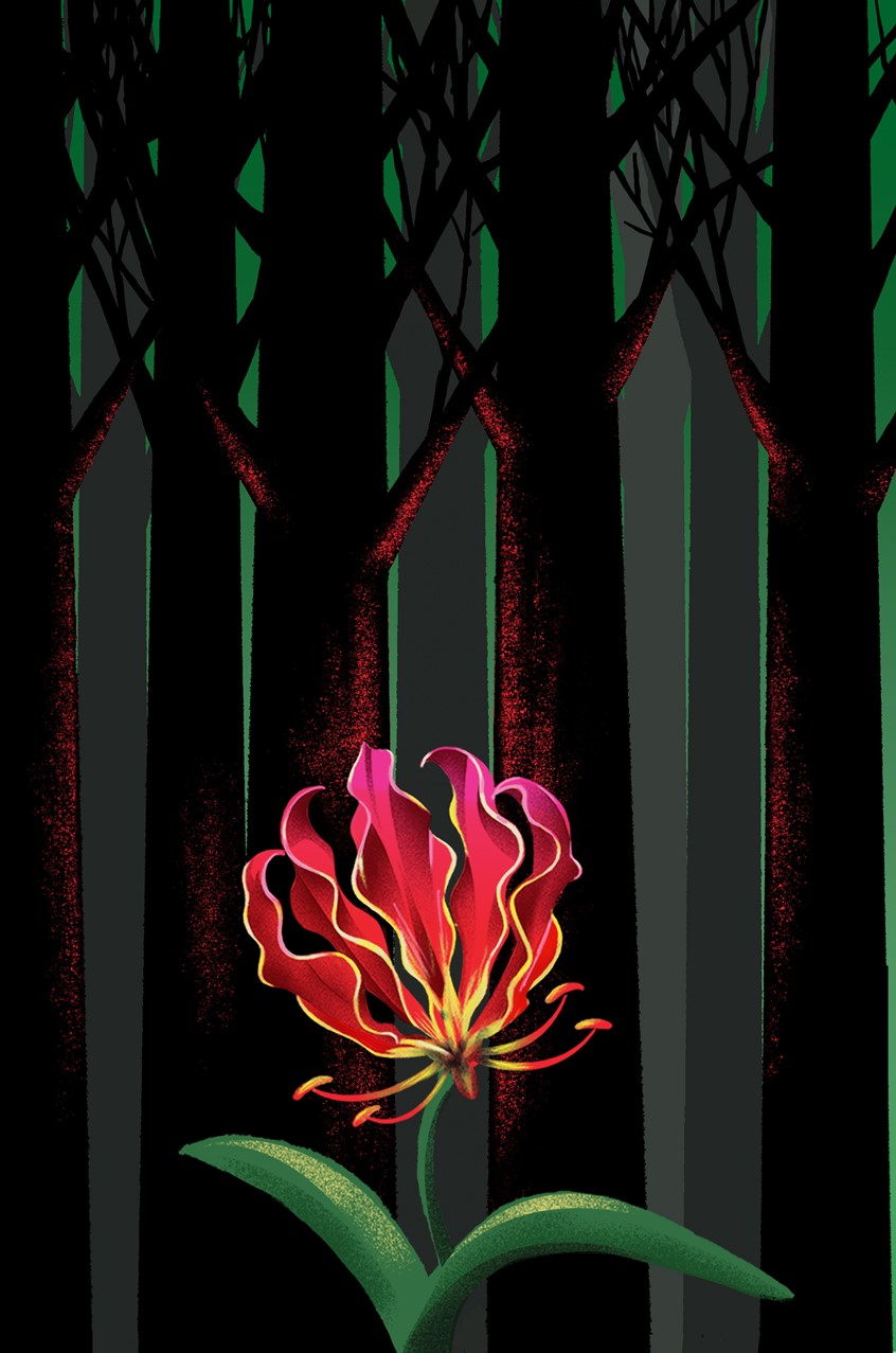 illustration of Cover art for a book called Fire Lily. A biography of a woman's challenges she faces navigating her life after losing her limbs to illness. Concept, Cover, Book, Biography, Flower, Glow, Forest, Trees, Digital, Painting.