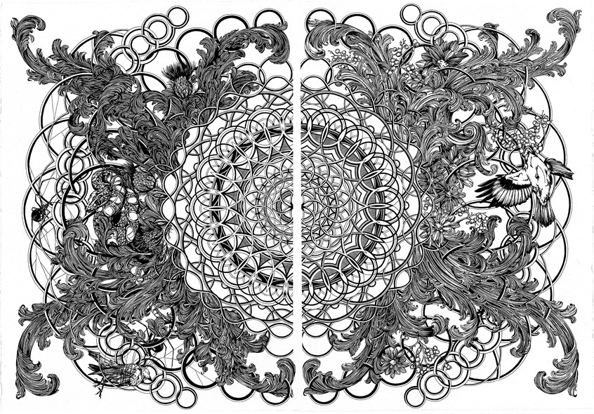 illustration of Hand-drawn in ink on Arches paper. Diptych. Each drawing measures 22