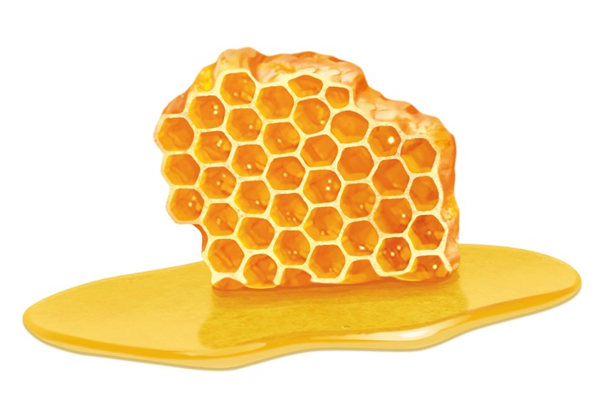illustration of honeycomb, honey, comb, flavor, package, label, health, healthy, sweet, food, recipe, packaging, branding, cookbook, photo-realistic, photorealism, hyper-realism, cuisine, cooking, organic, best illustration, quality, art, design, natural, flavor, healthy