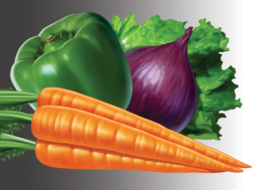 illustration of vegetables, carrot, carrots, bell pepper, pepper, green pepper, onion, red onion, lettuce, produce, health, healthy, fresh, food, recipe, packaging, branding, cookbook, photo-realistic, photorealism, hyper-realism, cuisine, cooking, organic, best illustration, quality, art, design, vegan, natural, flavor