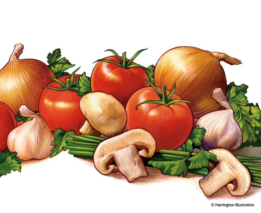 illustration of spaghetti, sauce, ingredients, tomatoes, tomato, mushrooms, mushroom, garlic, onions onion, marinara, pasta, basil, parsley, recipe, packaging, branding, cookbook, photo-realistic, pencil, stylized, cuisine, cooking, organic, best illustration, quality, art, design, vegan, natural, flavor, food, healthy