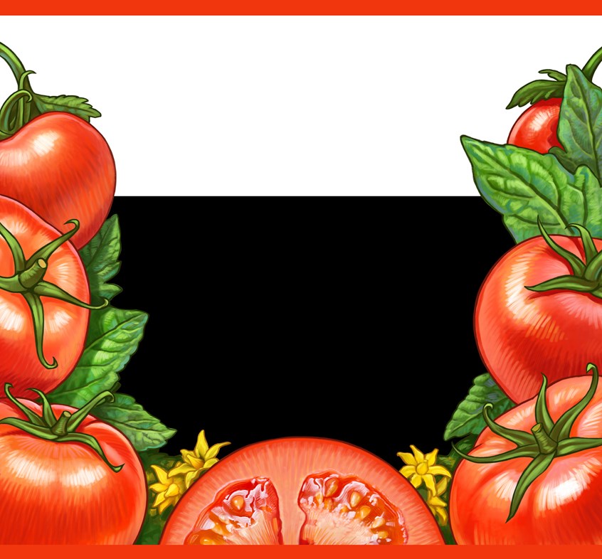 illustration of Tomato Juice, vegetable, fruit, juice, health, produce, antioxidant, recipe, packaging, branding, cookbook, photo-realistic, photorealism, stylized, color pencil, cuisine, cooking, organic, best illustration, quality, art, design, vegan, natural, flavor, food, healthy