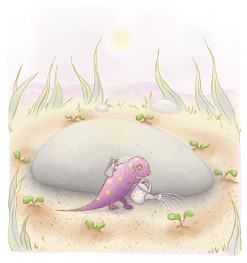illustration of Sal Watering Liz’s Rock. salamander, animal, helping, sweet, loving, gardening, picture book, amphibian, nature, nature for kids, nature for children, painterly, digital, watercolor, photoshop, adobe, adobe photoshop, adobe illustrator, vector