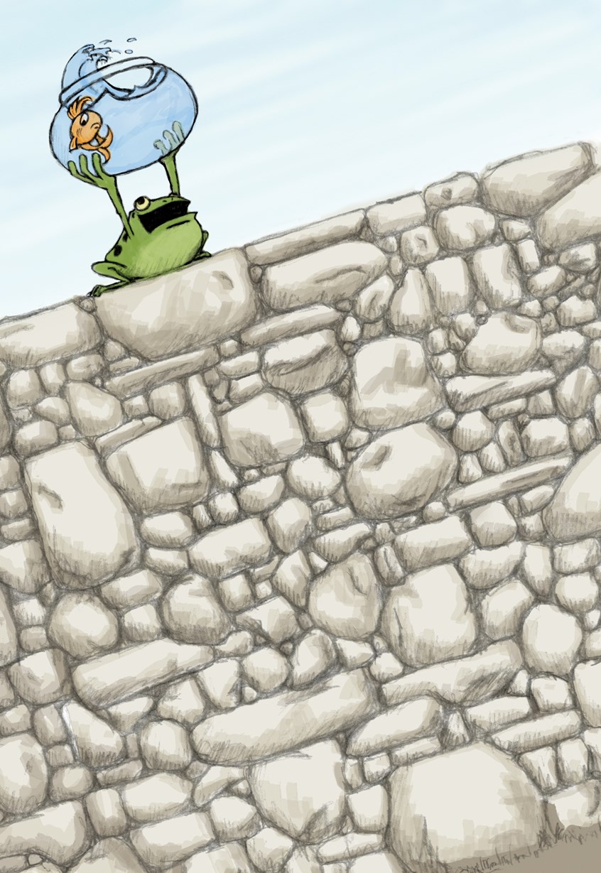 illustration of He Threw Down a Fish, from Fat Freddy's Afraid to Fall. Illustration for Educational book on how to practice, Sounds,
Frog Wall, Book, Letter F, Children, Children's Book, Picture Book, Picture, Illustrator, Design, Art, Artist, Frog, Whimsical, Fun, Learning, Education, Fish Bowl, Rock Wall, Stone