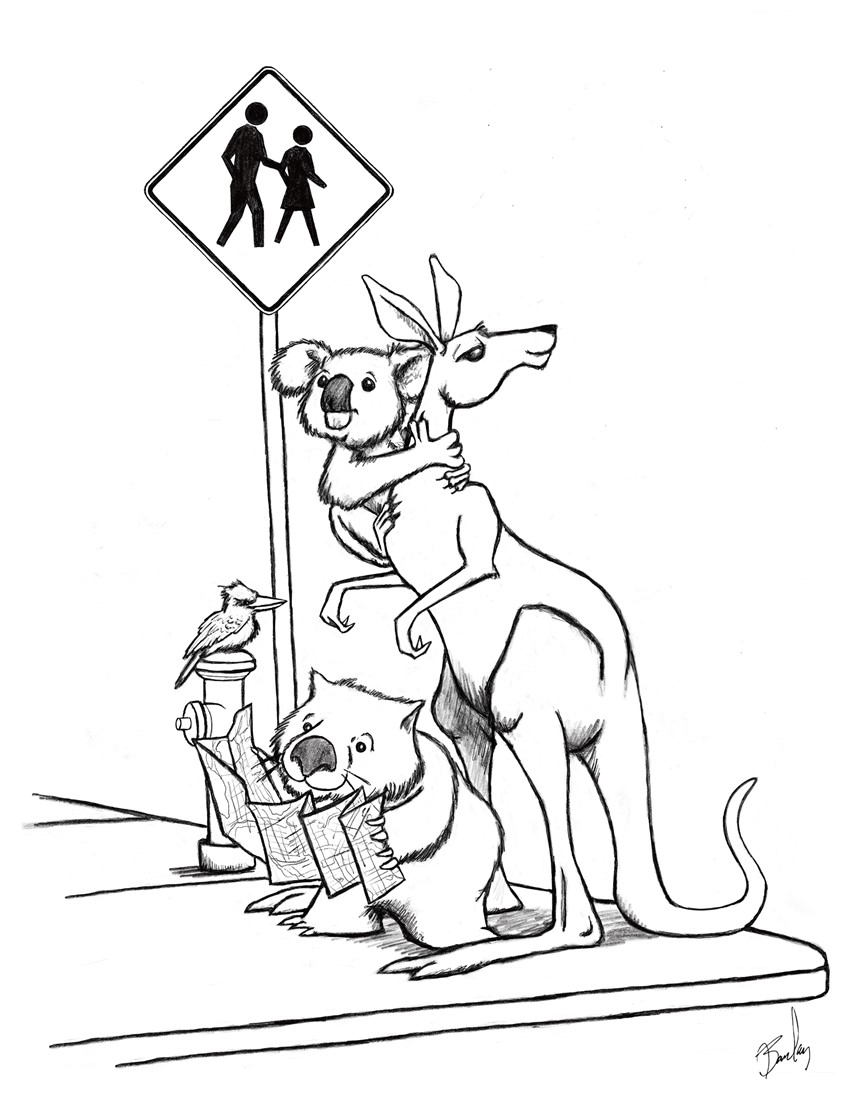 illustration of As a way to provide educational tools for teachers during the COVID 19 Pandemic, I was asked to illustrate a series of coloring pages for the Vermont Public Radio podcast, But Why a Podcast for Curious Children. This one is for the episode Kangaroos, Koalas, and Wombats! Why Don't They Live in Cities? Illustration, Illustrator, Designer, Graphic Design, Line Art, Coloring Page, Animals, Wildlife, Map, Direction, Lost, Art, Kookaburra