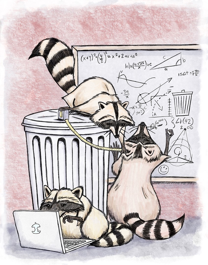 illustration of As a way to provide educational tools for teachers during the COVID 19 Pandemic, I was asked to illustrate a series of coloring pages for the Vermont Public Radio podcast, But Why a podcast for Curious Children. This one is for the episode Kangaroos, Koalas, and Wombats!, Why Don't They Live in Cities? Where they also discussed the problem of Raccoons in Toronto. I colored my own page. Illustration, Illustrator, Designer, Line Art, Drawing, Humor, Whimsical, Equations, Math, Problem Solving,