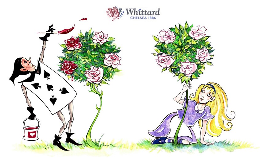 illustration of illustration of Alice in the Queen of Hearts’ rose garden; one of a quartet of mugwrap designs for Whittard of Chelsea, for their ‘Mad Hatter’s Tea Party’ range