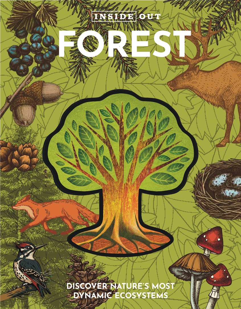 illustration of Inside Out Forest (Chartwell Books, The Quarto Group).
An interactive die-cut book for kids ages 7 to 12.
My illustrations populate a layered 3D model of a tree, which centers each section of Inside Out Forest, guiding the reader through a tree’s growth cycle and the seasons of the year.
Animal, Forest, Leaves, Plant, Nature, Tree