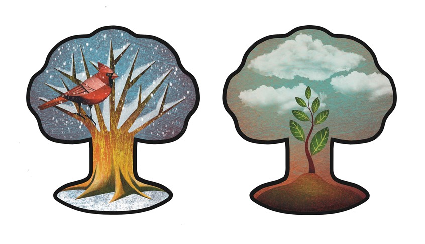 illustration of Inside Out Fores ( Chartwell Books, The Quarto Group).
An interactive die-cut book for kids ages 7 to 12.
My illustrations populate a layered 3D model of a tree, which centers each section of Inside Out Forest, guiding the reader through a tree’s growth cycle and the seasons of the year.
Animal, Cardinal, Forest, Leaves, Plant, Nature, Seedling,Tree, Winter