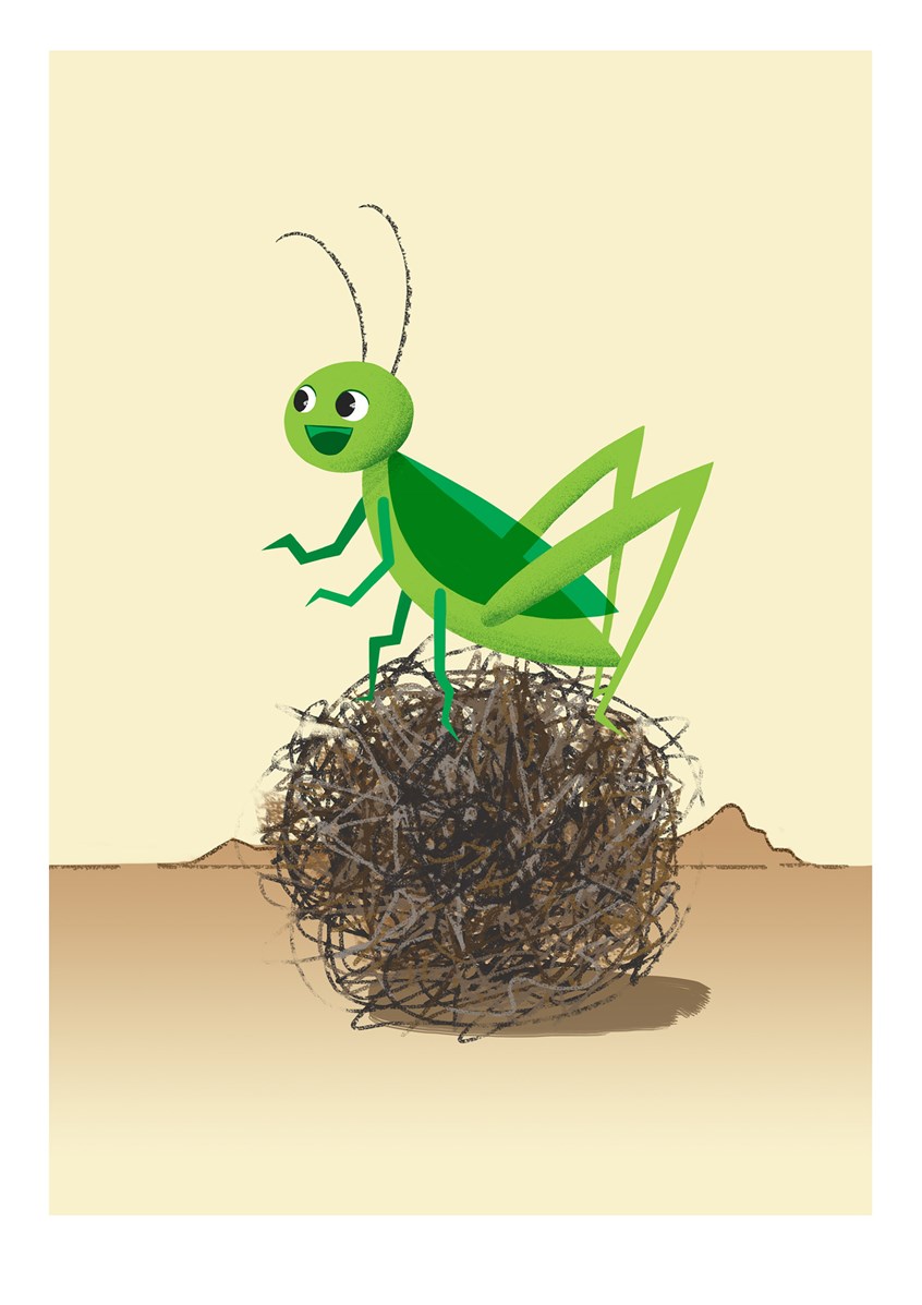illustration of Cute happy cricket riding a tumbleweed. The life of insects is a funny one. Simple, minimal and clean graphic character design.