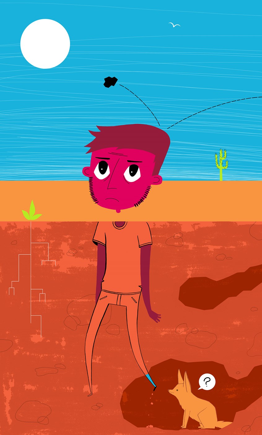 illustration of Unhappy man buried in the desert with rocks thrown at him. The cute desert fox is curious as to what is going on. Bright colors with a dark twist and modern style.