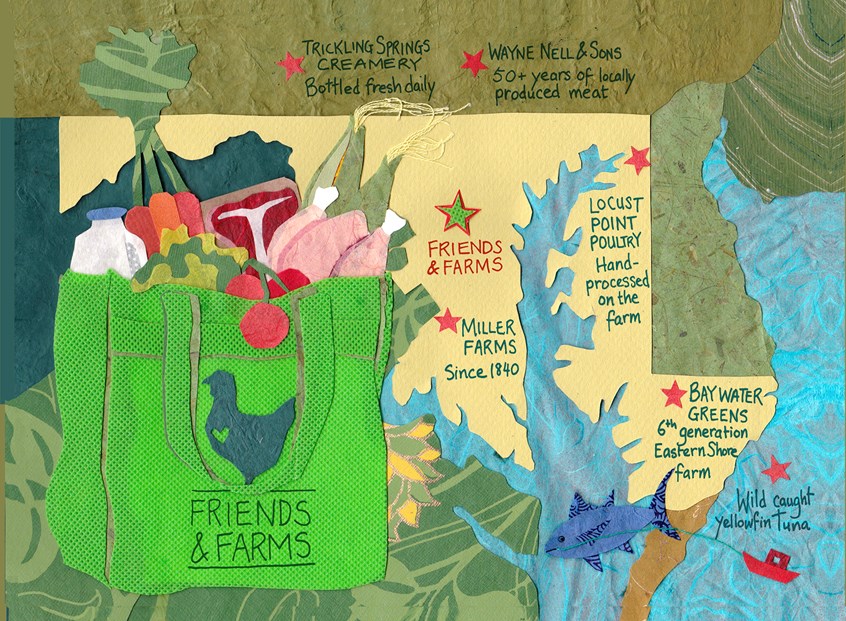 illustration of This map illustration for postcard.
Friends & Farms distributed fresh produce directly from regional farms to member customers. My clients were visually rebranding themselves. They thought my collaged papers was the perfect style to convey the friendly, down-to-earth, easygoing spirit of their business.
agriculture, branding, grocery, groceries, food, food distribution, Colleen Kong-Savage, meat, vegetables, shopping bag, Maryland, USA, state, fish, chicken, steak, tomato, corn, community