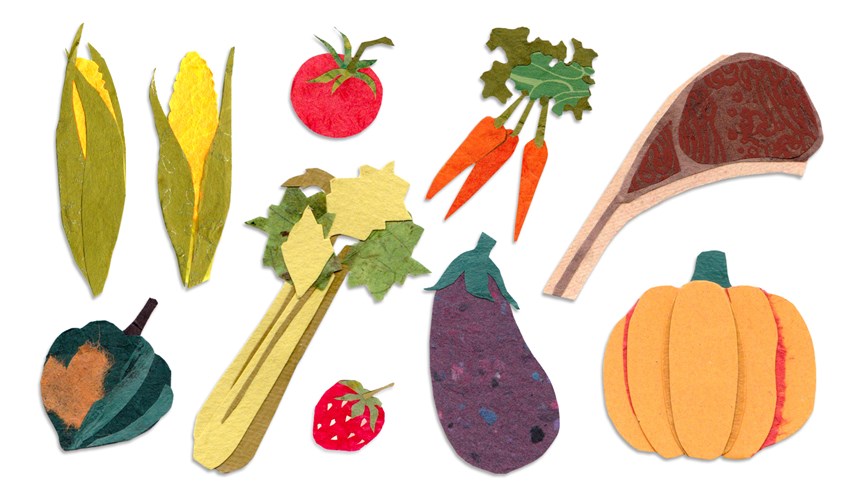 illustration of Spot illustrations of vegetables, fruit, meat for Friends & Farms' e-newsletter.
Friends & Farms specialized in farm-to-table food. The business aggregated fresh produce from regional farms, then distributed it to members. The company prided itself in stellar customer service and wanted to convey its warm sense of community in its branding.
corn, tomato, carrots, eggplant, celery, strawberry, pork chop, pumpkin, acorn squash, Kong-Savage