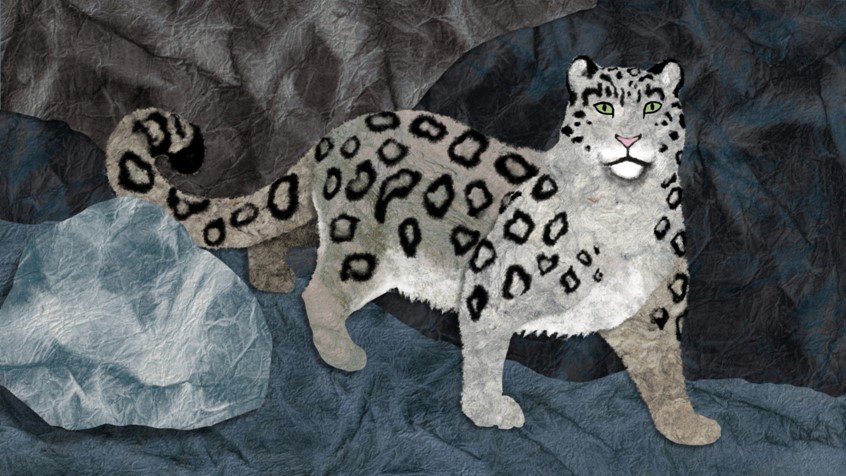illustration of Illustration of snow leopard for animated opening sequence of VOICES FROM THE ROOF OF THE WORLD, a documentary series about effects of climate change on communities and ecosystems around the Himalayas.
Environment, wildlife, habitat ecology, nature, snow leopard, big cat, animal, beast, predator, rocky, textured paper, mixed media, paper, outdoors, mountains, texture.