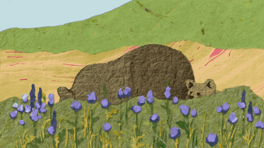 illustration of Illustration of Himalayan bears for animated opening sequence of VOICES FROM THE ROOF OF THE WORLD, a documentary series about effects of climate change on communities and ecosystems around the Himalayas.
Environment, wildlife, habitat, ecology, nature, bear, himalayan bear, animal, beast, mother, cub, landscape, paper, outdoors, mountains.