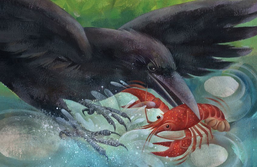 illustration of #childrensbooks #childrenspublishing #childrensillustrators #childrensillustration #childrensbookartist #characterdesign #fairytales #picturebooks #picturebookillustration #picturebookartist #painterly #raven #crawfish #circleoflife #nature #animals