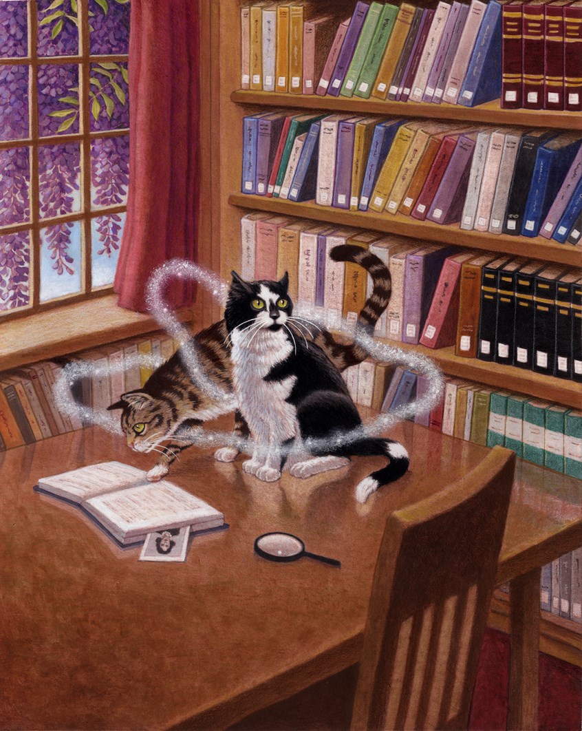 illustration of Penguin Books, young adult, Book cover, magazine cover. Text books, readers, adult, children, story, traditional illustration, fantasy, ocean, animals, cats, books, library, atmosphere, magic, window, animal, magic, myst, fantasy, mystery