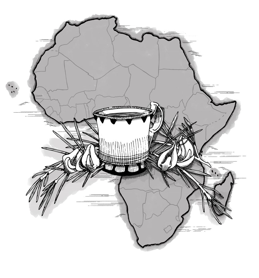 illustration of Part of an editorial illustration series showcasing origins of different teas. Illustrator, art, design, artwork. editorial, magazine, newspaper, news, article, information, food, products, market, limited colors, black & white, emotion, travel, tourists, shopping, eating, tea, Africa, rooibos backpacking, map, tea leaves, bush, recipe
