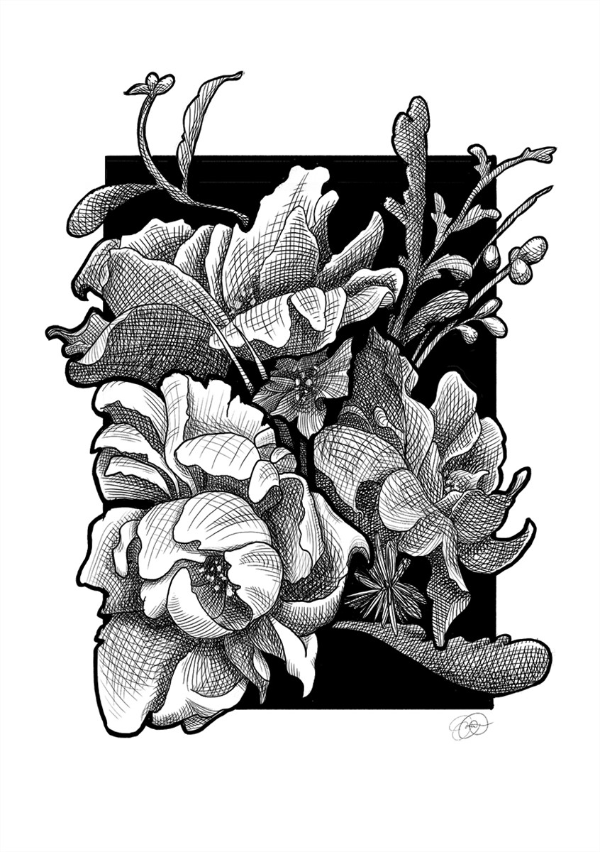 illustration of Digital illustration of flora in a black & white hatching style similar to traditional inking.
Floral, flowers, nature, plants, botanical, editorial, book illustration, greyscale, grayscale, linework
