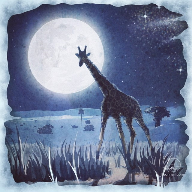 illustration of Moonlit giraffe from a safari in Uganda. Nature, atmosphere, moon, night, cover, editorial, book cover, stars, Milky Way, blue, best, Africa, wildlife, best. Children’s book literature kids art limited pallet textures gradation travel adventure Savannah outdoors recreational tourism trek