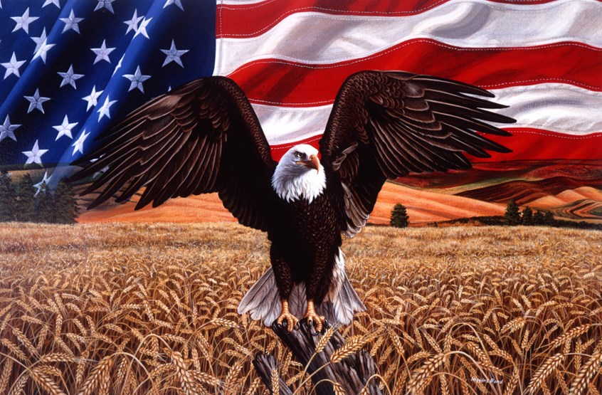 illustration of F/C illustration of a bold eagle with the American flag in the background, oil panting, acrylic painting, mixed media, montage, portrait, people, historical images, editorial, book covers, celebrities, realism, photorealism, magazines, children, children books, afro American historical celebrities, animals.
