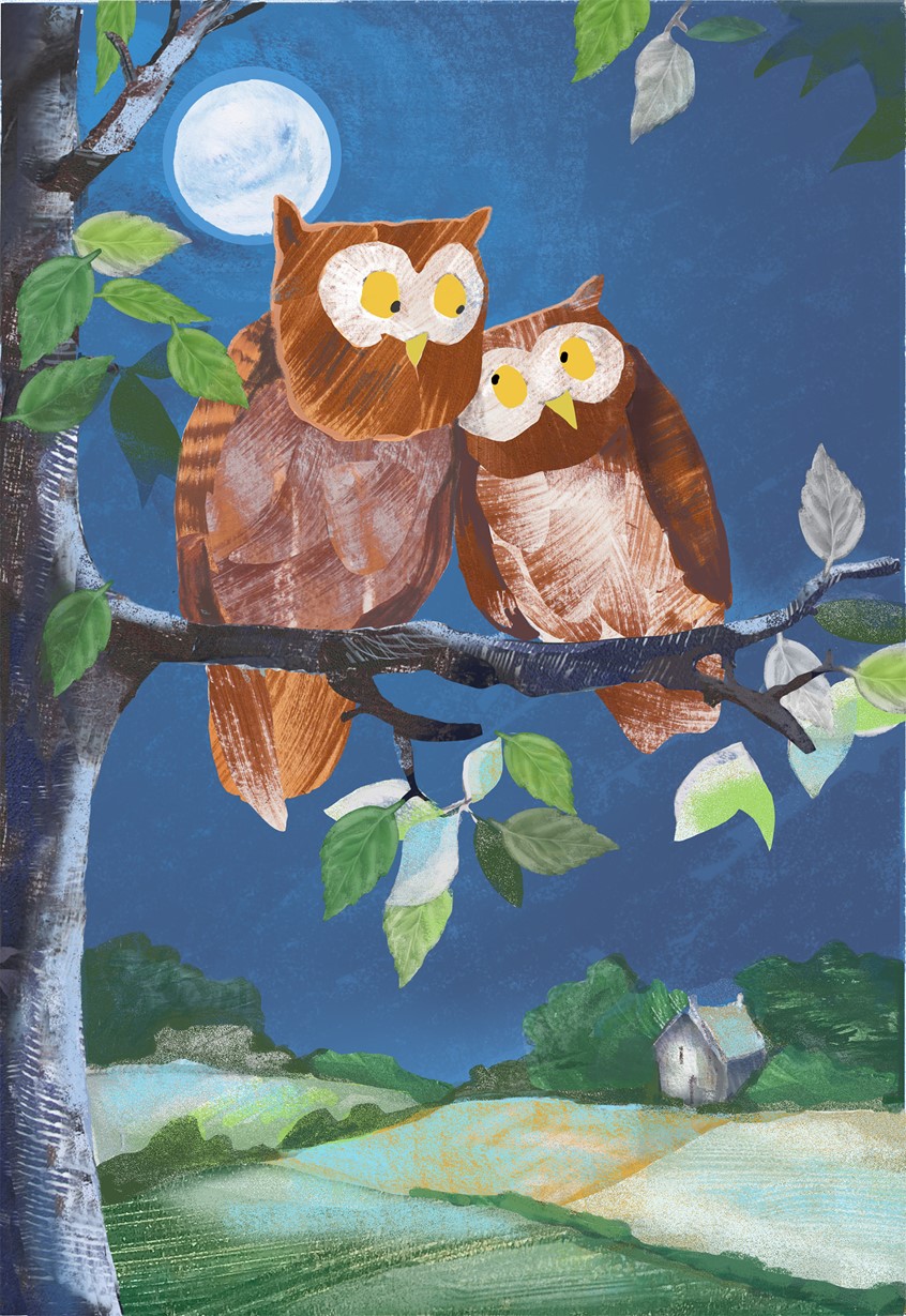 illustration of Owls, family, love, night, moon, collage, texture, moonlight, happy, fields, landscape, sky, night time, friendship, cozy, warm, fun, funny, whimsical, leaves, tree, trees, collage, texture, digital, gouache