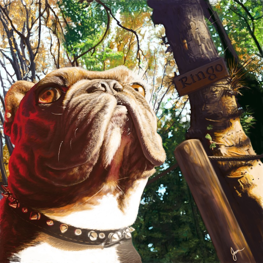 illustration of Colorful portrait of Ringo The French Bulldog.
french, bulldog, portrait, environment, digital painting, editorial, magazine, print, social media, animals,