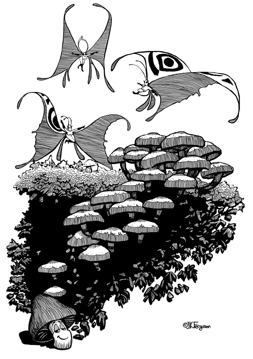 illustration of Mushroom Villa, and butterfly girls.
fantasy, mushrooms, environment, butterfly, girls, black and white, digital, hand drawn, editorial, magazines, books, social media, flight,