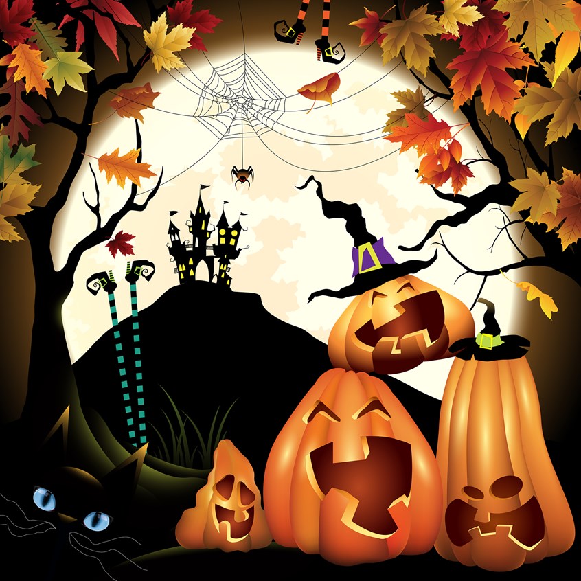 illustration of easy to read, learning to read, fun story,
funny illustrations, fantastical world, teach, children, animals, creative, young readers,
Children’s Fantasy, Magic Books, Nature Books,
Education, mother & daughter, father & son
family, family time, imagination, beautiful images, fall, pumpkins, birds, harvest, scarecrow, licensing, whimsical, holiday, spooky, witches, fall leaves, spiders, story time,
