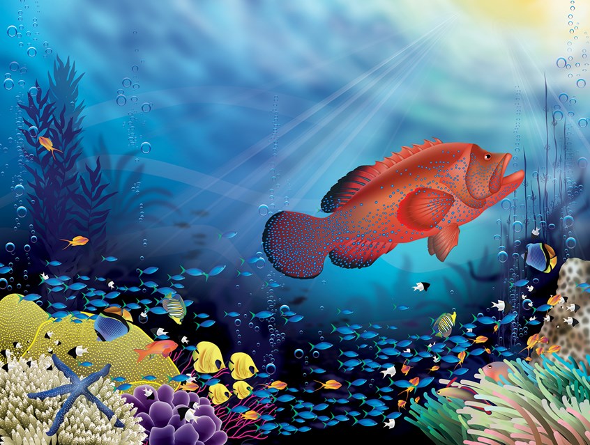 illustration of Easy to read, learning to read, fun story
funny illustrations, fantastical world
teach children, creative, young readers, Children’s Fantasy, nature books, education, realistic illustrations, mother & daughter, father & son, family, family time, imagination, beautiful images, animals, plants, grouper, coral reef, blue, colorful, science books, scientific, biology, sun rays, seaweed, story time