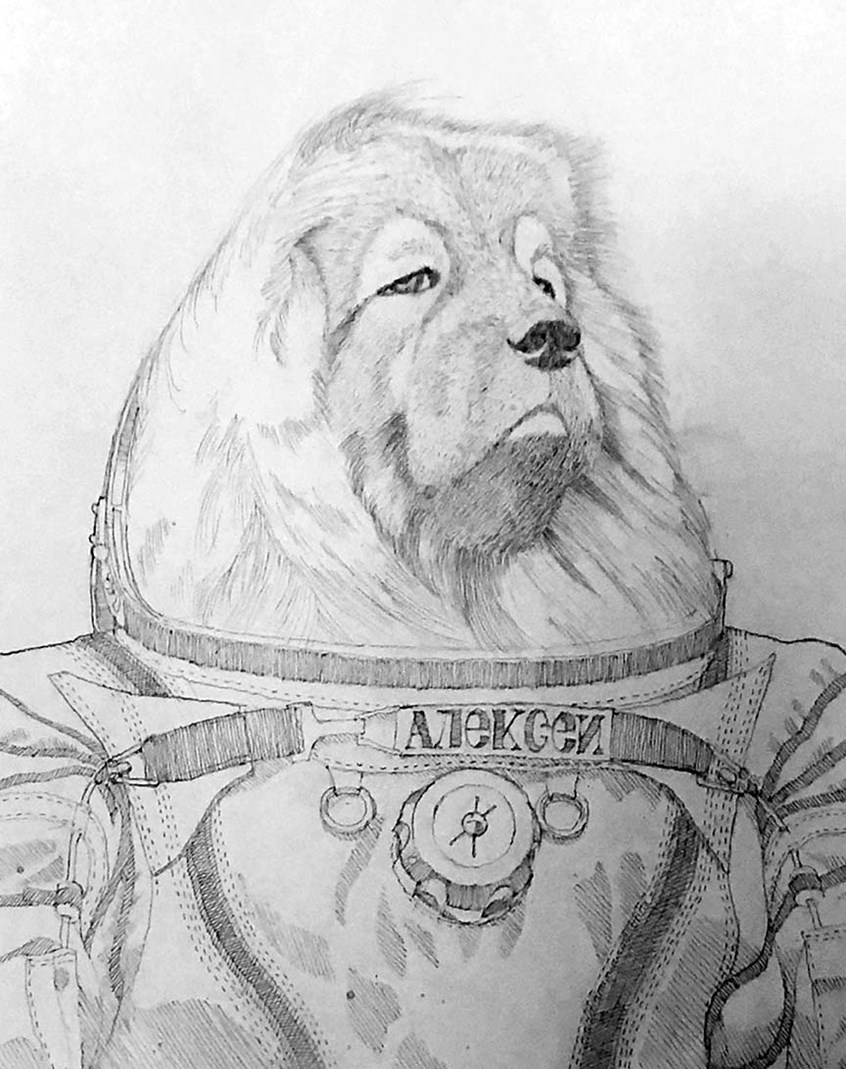 illustration of Historical dogs series: A portrait of the cosmonaut Aleksei, Hero of the Soviet Union and the first dog to conduct a spacewalk...without a leash. Graphite pencil on Bristol board.
#cosmonaut #russianbeardog #roscosmos #ovcharka #sovietunion #russia #soyuz #spacewalk #eva #portrait #josephboquiren #illustration #graphitepencil #bristolboard #storydrawing #alternatehistory #characterdesign
