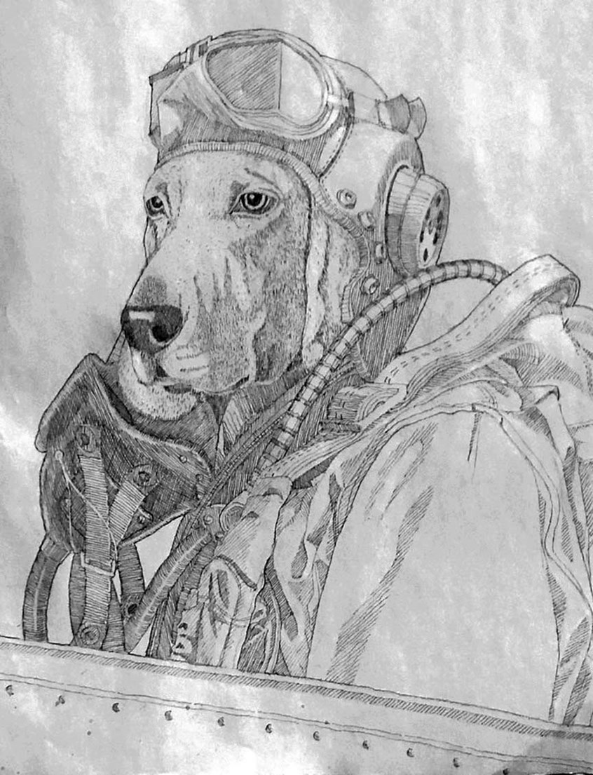 illustration of Historical dog series: This is Lieutenant Colonel Pappy, an American Coonhound. He led the daring bombing raid on the Ploesti oil fields during WW2.