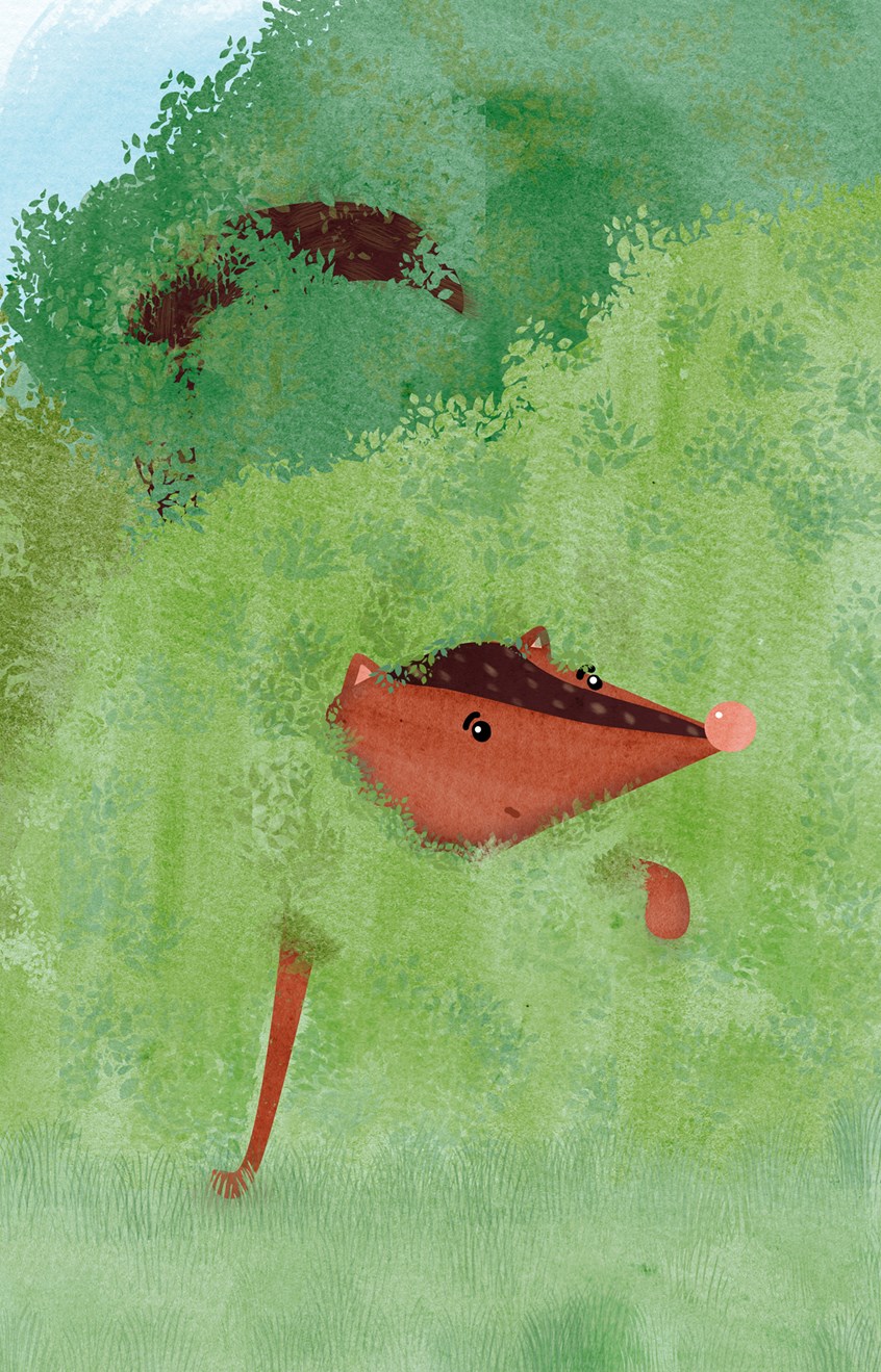 illustration of A fox hiding in a bush. leaves, popping out, animals, green grass, bushes, bush, emerge, adventure, foxes, animals, chase, hunt, bunnies, sly, cunning, shrewd, astute, clever, crafty, foxy