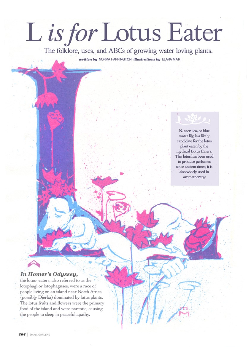 illustration of ABCs of water loving plants screenprint
Small Gardens editorial gardening landscape miracle grow perennial annual lily alphabet calendar folklore mythology greeting card food beverage spiritual medical