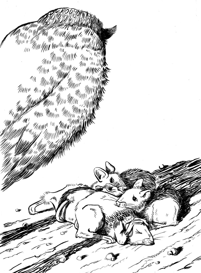 illustration of Chapter 3 in Louise and Clarke Head West, brush and ink, chapter book, animals, owl, bird, mice, underground, tunnel, fear, anxiety, threatening,