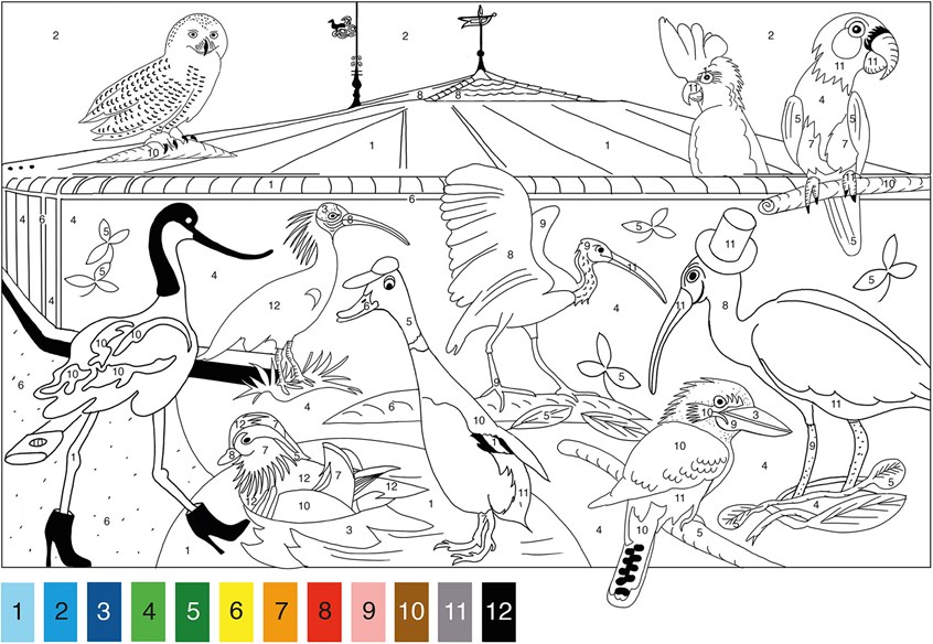 illustration of Art project and exhibition for Art Cube Cham. Birdhouse for coloring. Many fashionable birds dressed with hat and shoes. For example: kingfisher, duck, owl, wading bird.