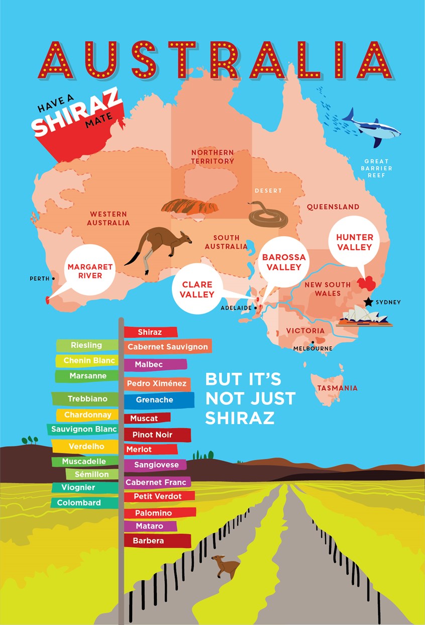 illustration of Australia, Map, Wine, Sight-seeing, Landmarks, Map Regions, Wine Regions, Education, Tour, Vacation, Colorful, Playful, Bold, Shiraz, Barossa Valley, Margaret River, Clare Valley, Hunter Valley, Kangaroo, Snake, Shark, Sydney