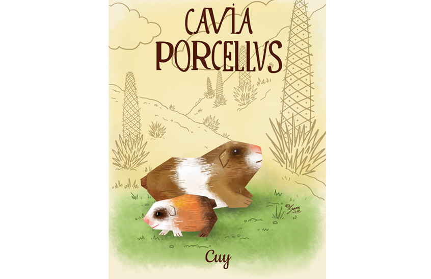 illustration of children literature, book, publishing, nature, animals, guinea pig, rodent, mouse, puya, andes, fauna, flora, flat, geometric, whimsical, bright, colorful, cuy
