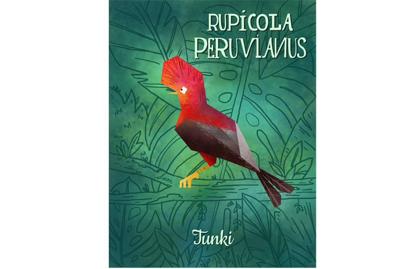 illustration of children literature, book, publishing, nature, animals, tunki, bird, rainforest, jungle, peru, fauna, flora, flat, geometric, whimsical, bright, colorful, cock of the rock
