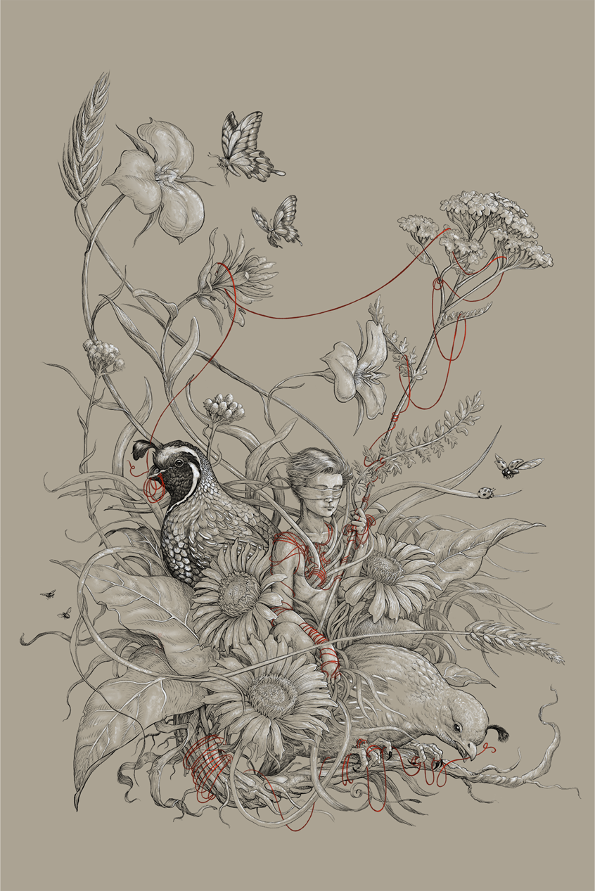 illustration of Personal work depicting the interconnected nature of humans alongside the flora and fauna of British Columbia grasslands. Quail, ladybugs and swallow-tail butterflies mingle with mariposa Lilly, Indian paint brush and arow-leaf balsam root, all wound through with a red thread symboling the relational nature the human and natural world.
