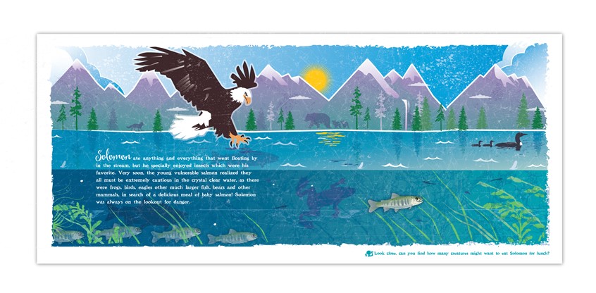 illustration of Children’s Book spread taking place in Alaska and documenting the life cycle of a Sockeye Salmon. Spread challenges the reader to find all of predators of the Sockeye Salmon.