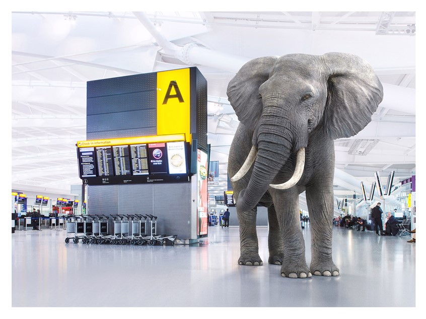 illustration of elephant, nature, africa, wildlife, wild, airport, travel, trolleys, adventure, transport, transportation, animals, airplane, aviation, adventure, retail, architecture, interiors, branding, screens technology, announcement, tannoy, tusk, trunk, passengers, family, advertising, advertisement,