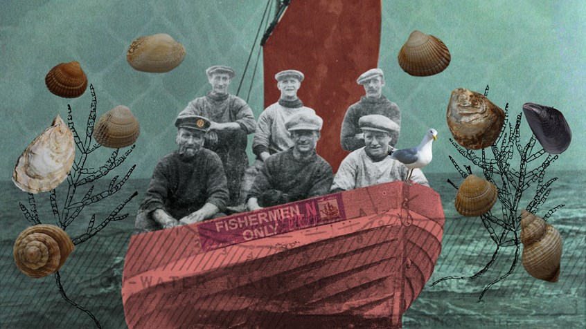 illustration of Water Marks looked at 150 years of local history, using archival materials (oral history, imagery & footage), own photography, footage and textures. The heritage film was commission by Wells Maltings Trust. UK. Sea, fishing, samphire, oysters, shells, boat, fishermen, cockles, pink, sail, seagull, net, blue, non-for-profit organisation, nonprofit institution, nonprofit organisation, organization, NPO, social cause, charity, heritage, museum