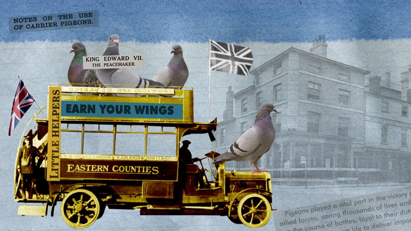 illustration of The War is Over film focuses on the home front, looking at how local people respond emotionally to the ending of WWI. The project engaged with the community, through interviews and workshops. The film was commissioned by Ipswich Museum and funded by the Heritage Lottery Fund. Pigeons, The Great War, WWI, The First World War, Truck, van, flag, union jack, building, blue, yellow, archive, collage